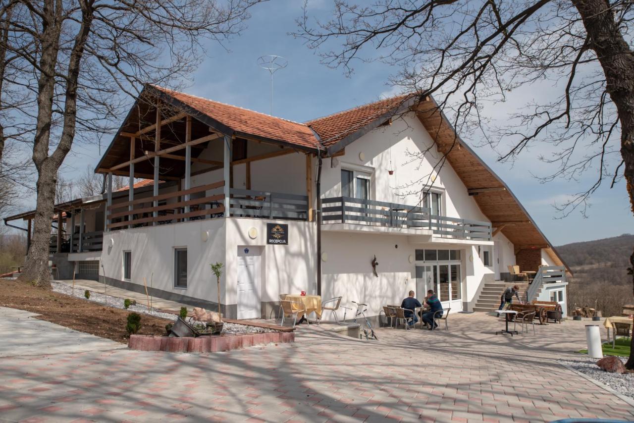 Konak Ljubica Rtanj Boljevac Екстериор снимка