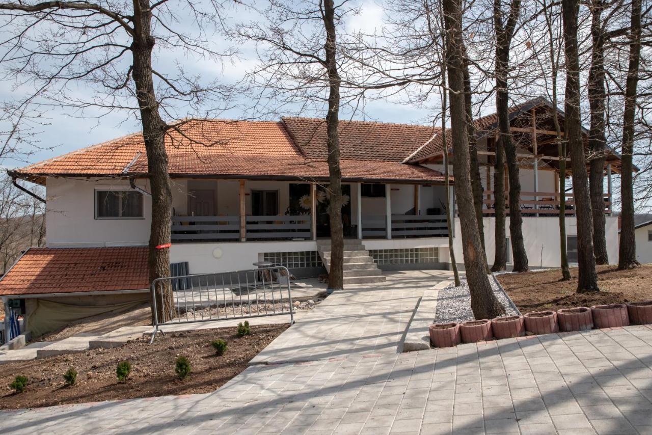 Konak Ljubica Rtanj Boljevac Екстериор снимка