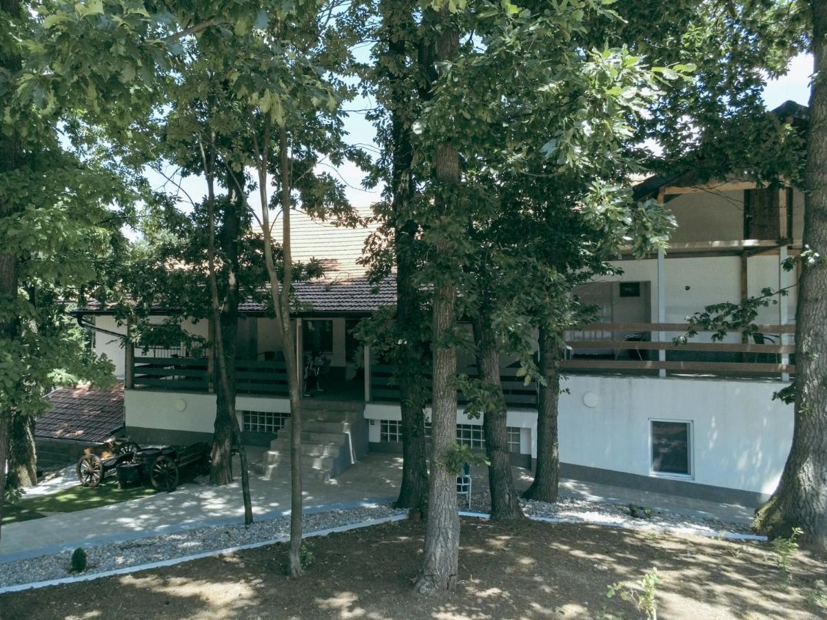 Konak Ljubica Rtanj Boljevac Екстериор снимка